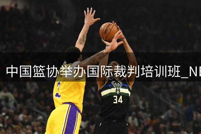 中国篮协举办国际裁判培训班 NBA专家亲授执裁要领